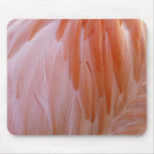 Flamingo Feathers in Shades of Rosa Musmatta