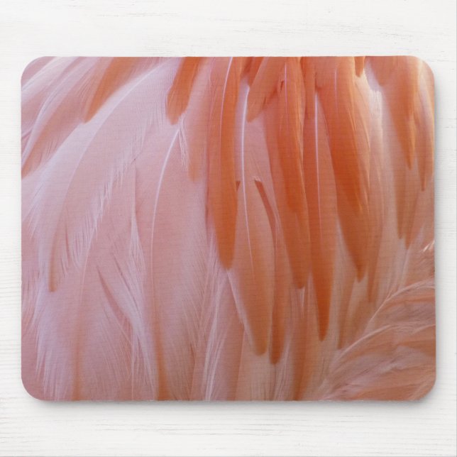 Flamingo Feathers in Shades of Rosa Musmatta (Framsidan)