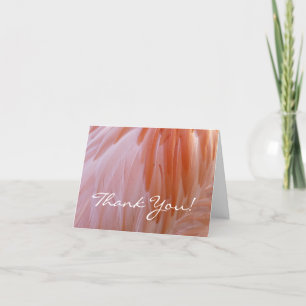 Flamingo Feathers in Shades of Rosa Tack Kort