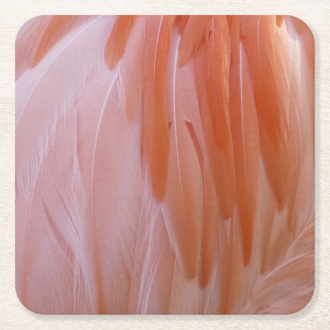 Flamingo Feathers in Shades of Rosa Underlägg Papper Kvadrat (Framsidan)