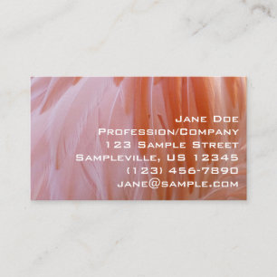 Flamingo Feathers in Shades of Rosa Visitkort