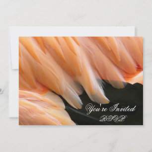 Flamingo Feathers_ Inbjudningar