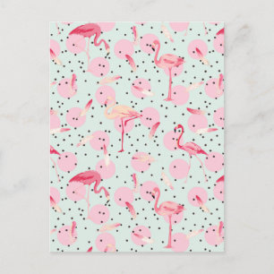 Flamingo Feathers på Polka dots 2 Vykort