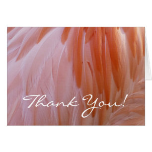 Flamingo Feathers-Tack (Blank Inside) OBS Kort