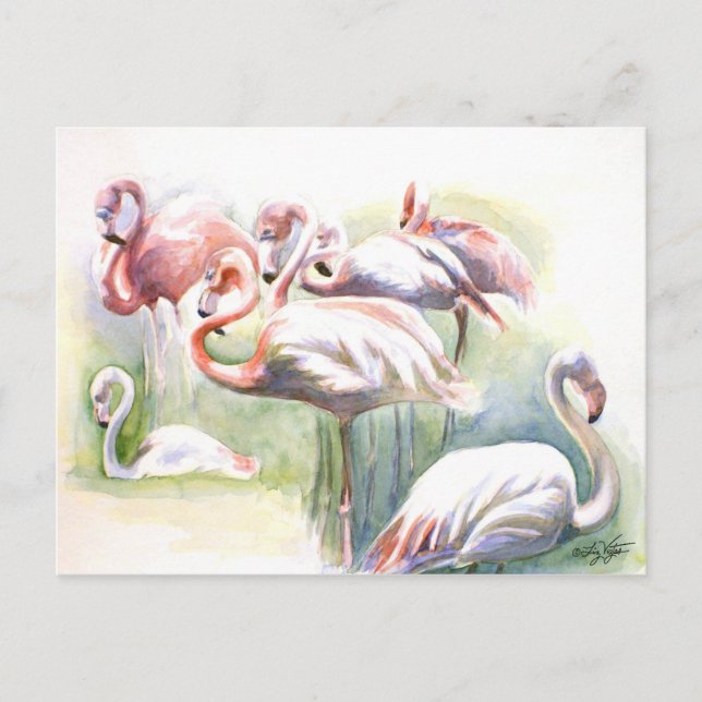 Flamingo Fiesta vycard Vykort (Framsida)