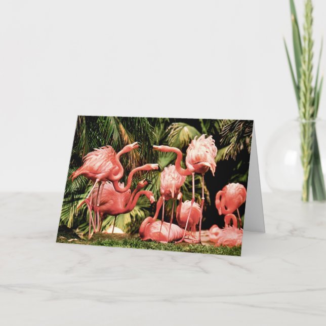 Flamingo Flamboyance Födelsedagskort Kort (Framsida)