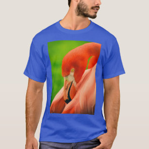 Flamingo Flamenco Long T Shirt