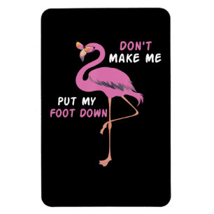Flamingo Flamingo med glasögon gör inte att jag Magnet