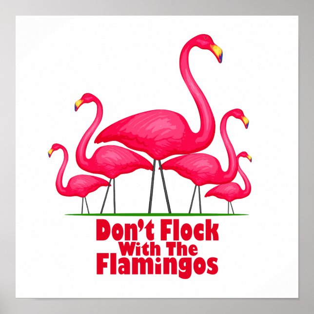 Flamingo Flamingo Poster (Framsidan)