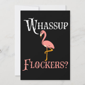 Flamingo | Flamingo Whassup Flockers Tack Kort