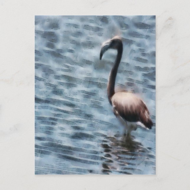 Flamingo Fledgling Watercolor Vykort (Framsida)