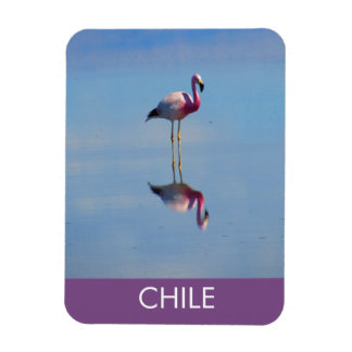 Flamingo Flexible Magnet