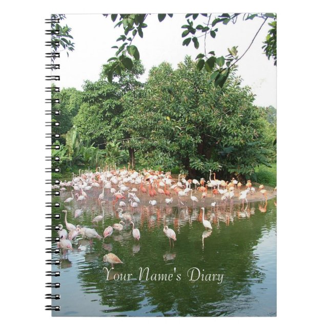 flamingo flock diary anteckningsbok (Framsidan)