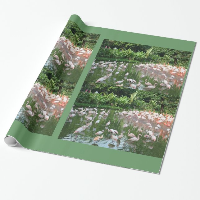 Flamingo flock-födelsedag, julklapp presentpapper (Utrullad)