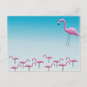 Flamingo Flocking Vykort