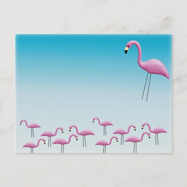 Flamingo Flocking Vykort (Framsida)