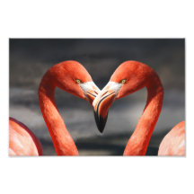 Flamingo för Alla Hjärtans Dag