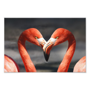 Flamingo för Alla Hjärtans Dag Fototryck