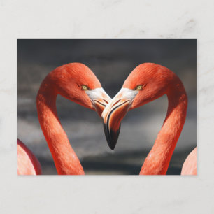 Flamingo för Alla Hjärtans Dag Vykort