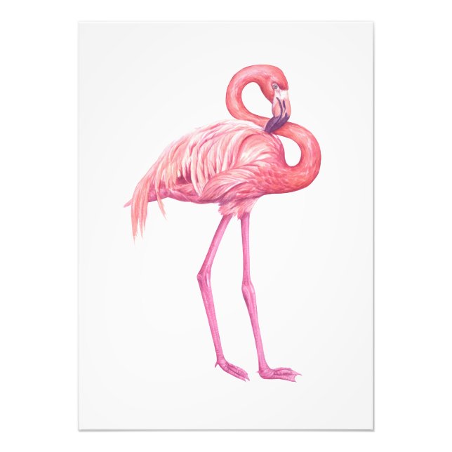 Flamingo Fototryck (Framsidan)