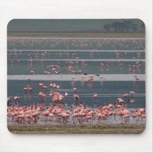 Flamingo Gathering - Mousepad Musmatta