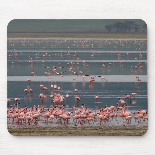 Flamingo Gathering - Mousepad Musmatta (Framsidan)