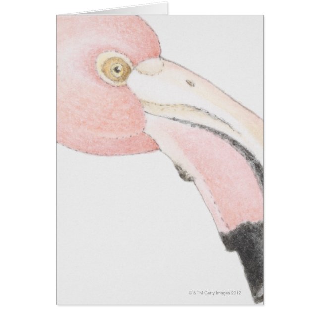 Flamingo Hälsningskort (Framsidan)