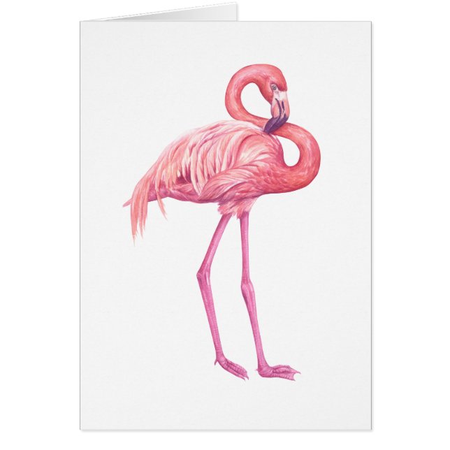 Flamingo Hälsningskort (Framsidan)