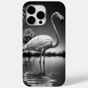 Flamingo i Bassäng