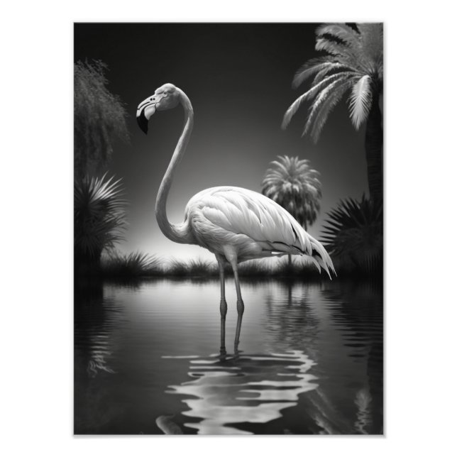 Flamingo i Bassäng Fototryck (Framsidan)
