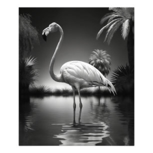 Flamingo i Bassäng Fototryck