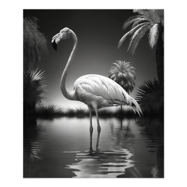 Flamingo i Bassäng Fototryck (Framsidan)