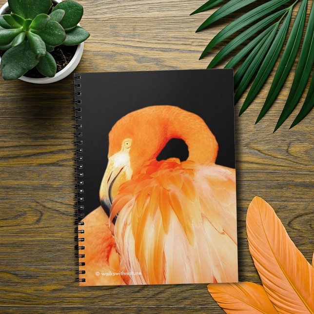 Flamingo i Sommaren Sol Anteckningsbok Med Spiral (Flamingo in the Summer Sun Journal Cover Photo)