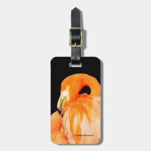 Flamingo i Sommaren Sol Bagagebricka
