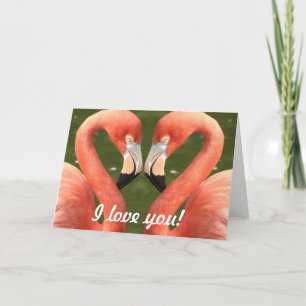 Flamingo, jag kärlek dig! kort