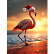 Flamingo jul