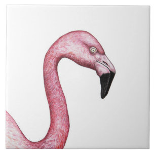 Flamingo Kakelplatta