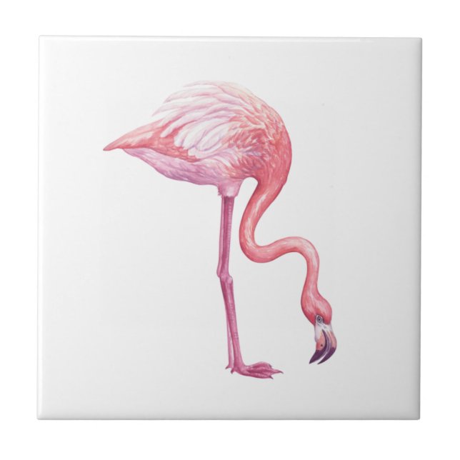 Flamingo Kakelplatta (Framsidan)