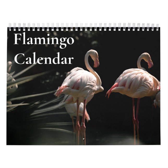 Flamingo Kalender 2027 (Omslag)