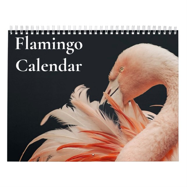 Flamingo Kalender 2027 (Omslag)