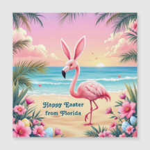 Flamingo kaninöron Holi