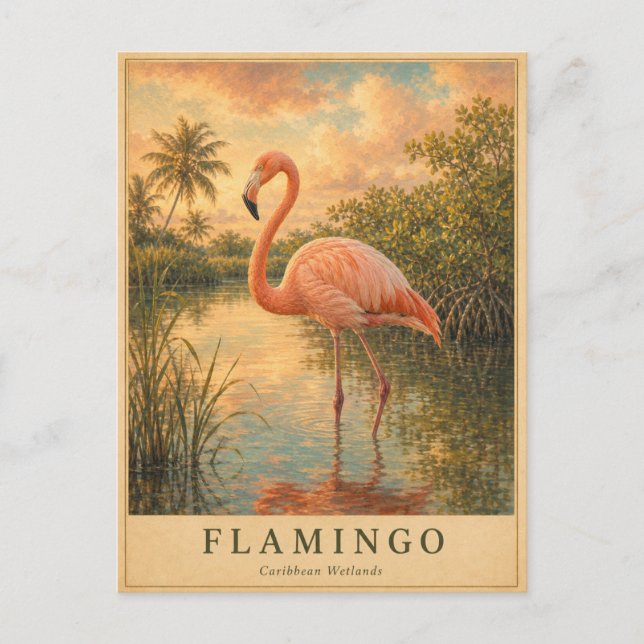 Flamingo Karibiska våtmarker VINTAGE Vykort (Framsida)