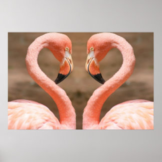 Flamingo Kärlek Poster
