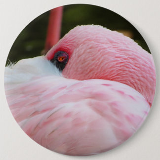 Flamingo Knapp