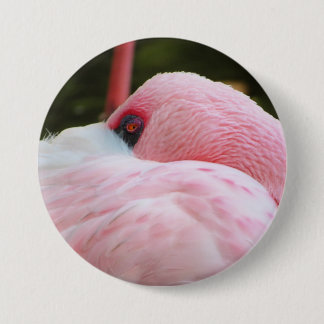 Flamingo Knapp