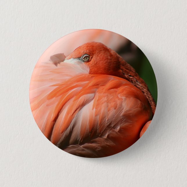 Flamingo-knapp Knapp (Framsida)