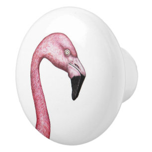 Flamingo Knopp