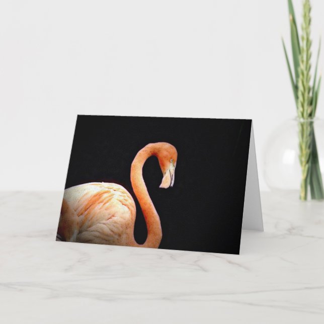 Flamingo Kort (Framsida)