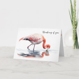 Flamingo... Kort