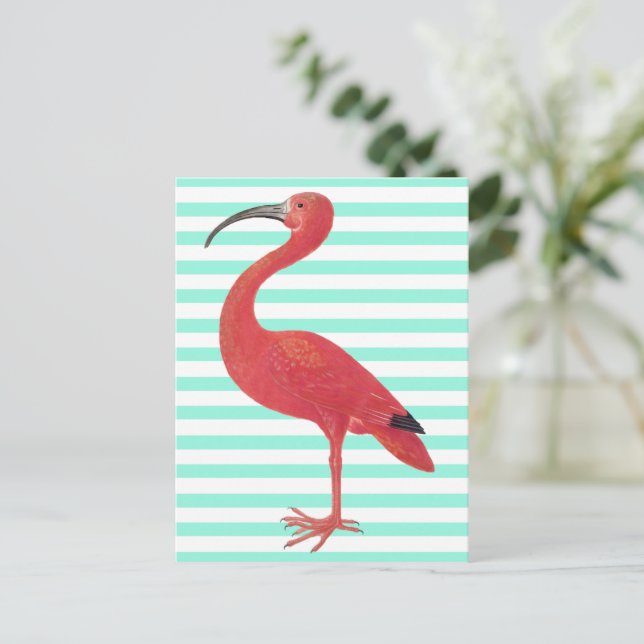 Flamingo- & krickarandar - konstvykort vykort (Stående Fram)